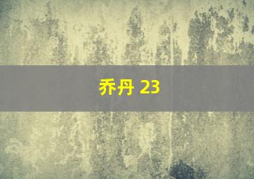 乔丹 23